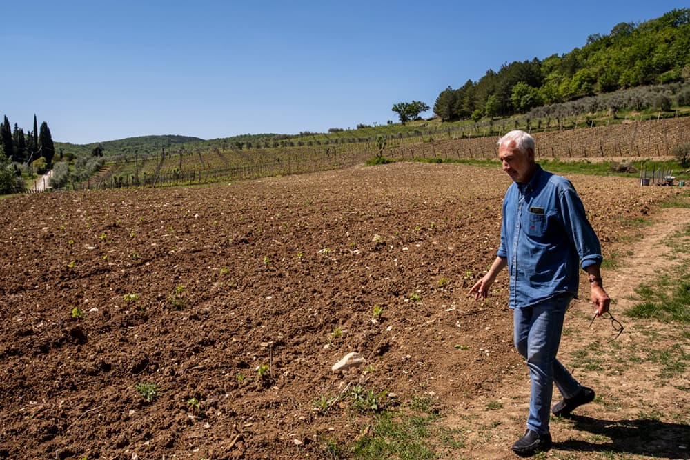 Gabriele Buondonno tra i vigneti del Chianti Classico