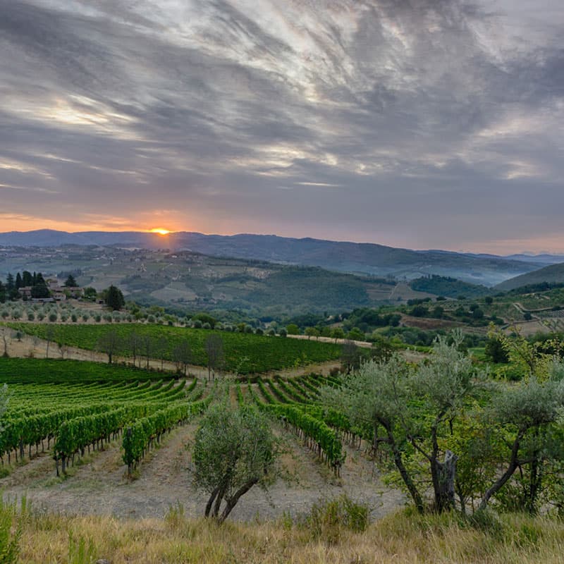 Degustazione di vini biologici Buondonno